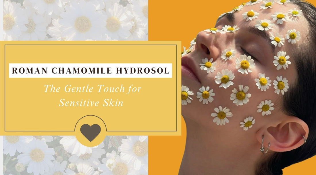 Roman Chamomile Hydrosol: The Gentle Touch for Sensitive Skin-Kiyo Beauty India