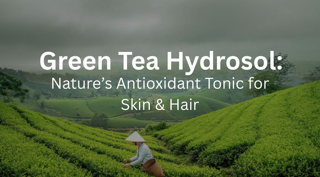 Green Tea Hydrosol: Nature’s Antioxidant Tonic for Skin & Hair-Kiyo Beauty India