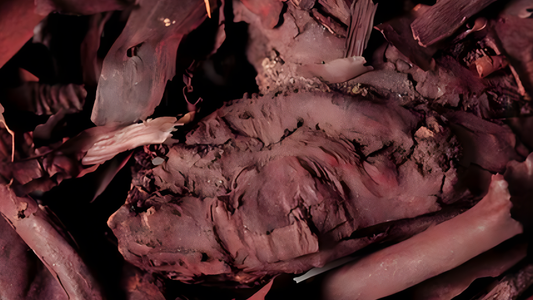 Ratanjot (Onosma echioides)