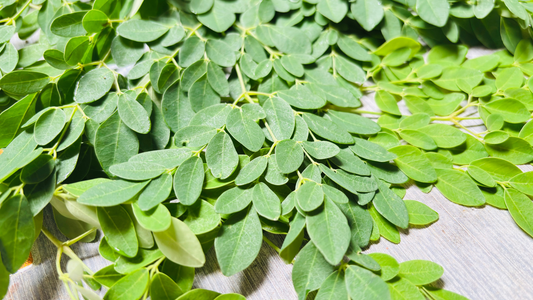 moringa