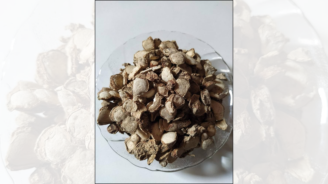 Kapoor Kachari Hedychium spicatum spiked ginger lily rhizome infused in Kiyo Beauty Ayurvedic Hair Oil for scalp circulation and hair growth
