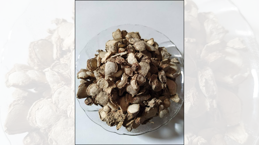 Kapoor Kachari Hedychium spicatum spiked ginger lily rhizome infused in Kiyo Beauty Ayurvedic Hair Oil for scalp circulation and hair growth