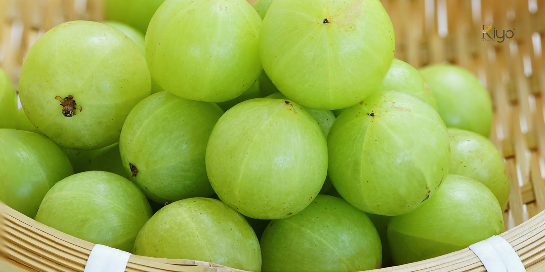 Amla/ Gooseberry/ Phyllanthus emblica in basket