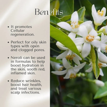Kiyo BEAUTY Neroli Hydrosol-Hydrosol-Kiyo Beauty India-Kiyo Beauty India